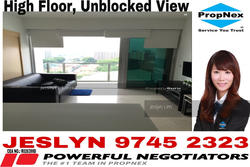 Eight Riversuites (D12), Condominium #155927392